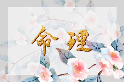 万年历黄历,农历黄历万年历,2026老黄历万年历农历查询